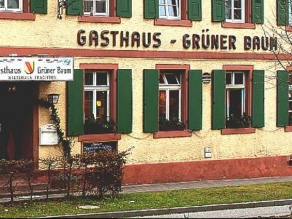 照片: Gr&amp;uuml;ner Baum